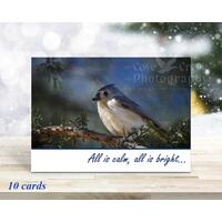 Original photography nature Christmas cards with a tufted titmouse available at Cove Creek Photography. Original photography nature Christmas cards with a tufted titmouse available at Cove Creek Photography.